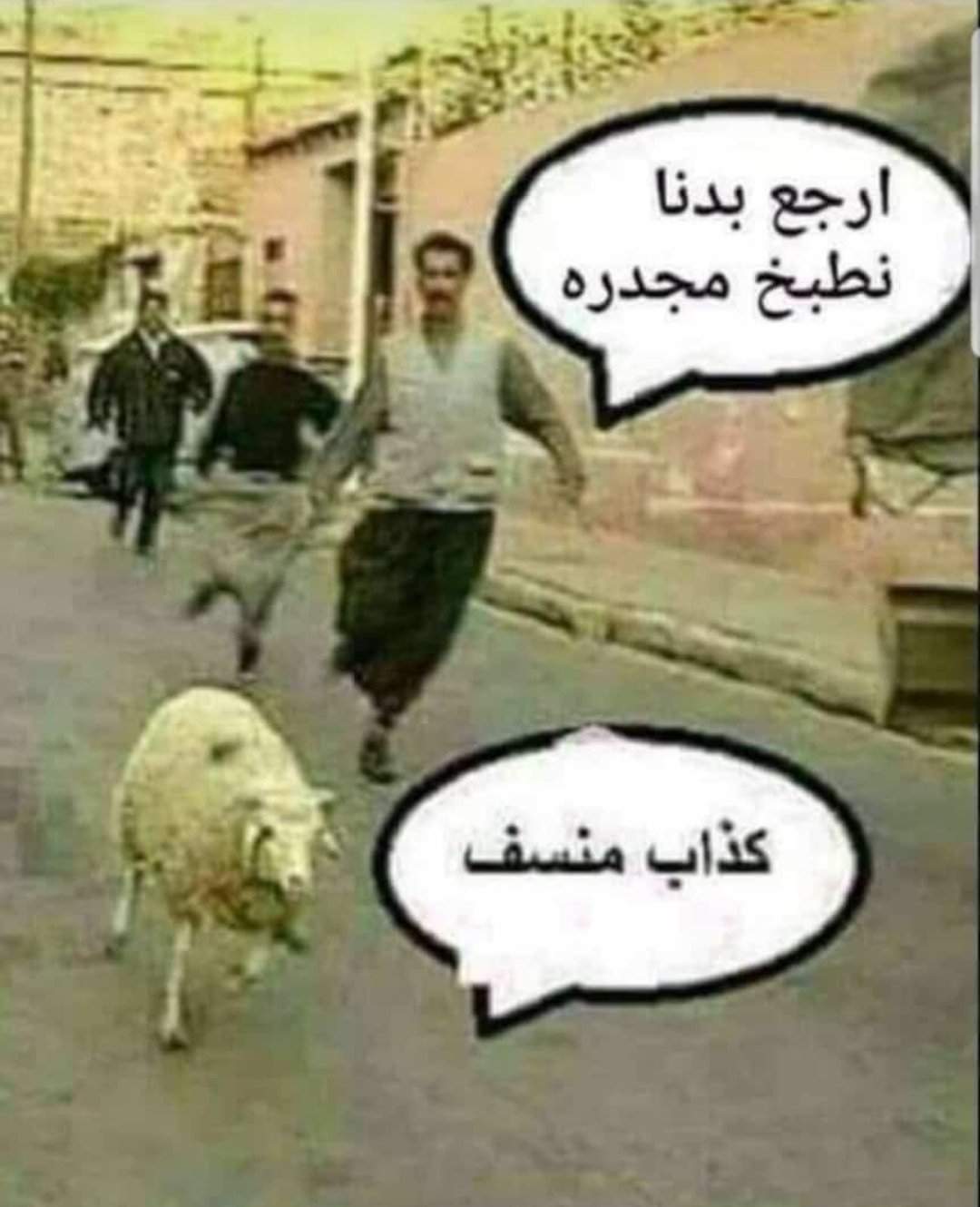 بوستات بتموت من الضحك هتغير مودك , صوره مضحكه