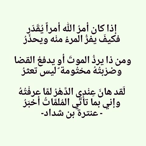 شعر عنترة بن شداد - تعرف على عنترة بن شداد وشعره الجميل 10728 1