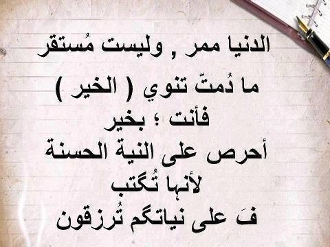 عبارات جميلة تويتر - اجمل ما قيل علي مواقع تويتر 6005 5