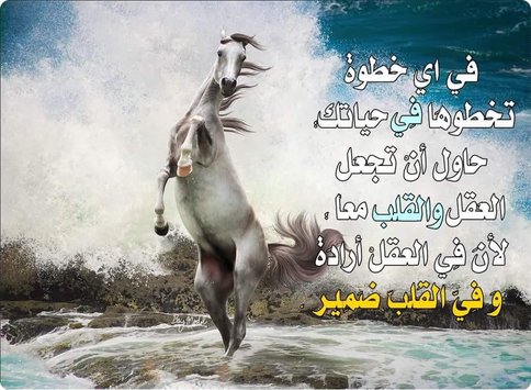 صور عن عزة النفس - بعض الصور عن عزة النفس 5242 3