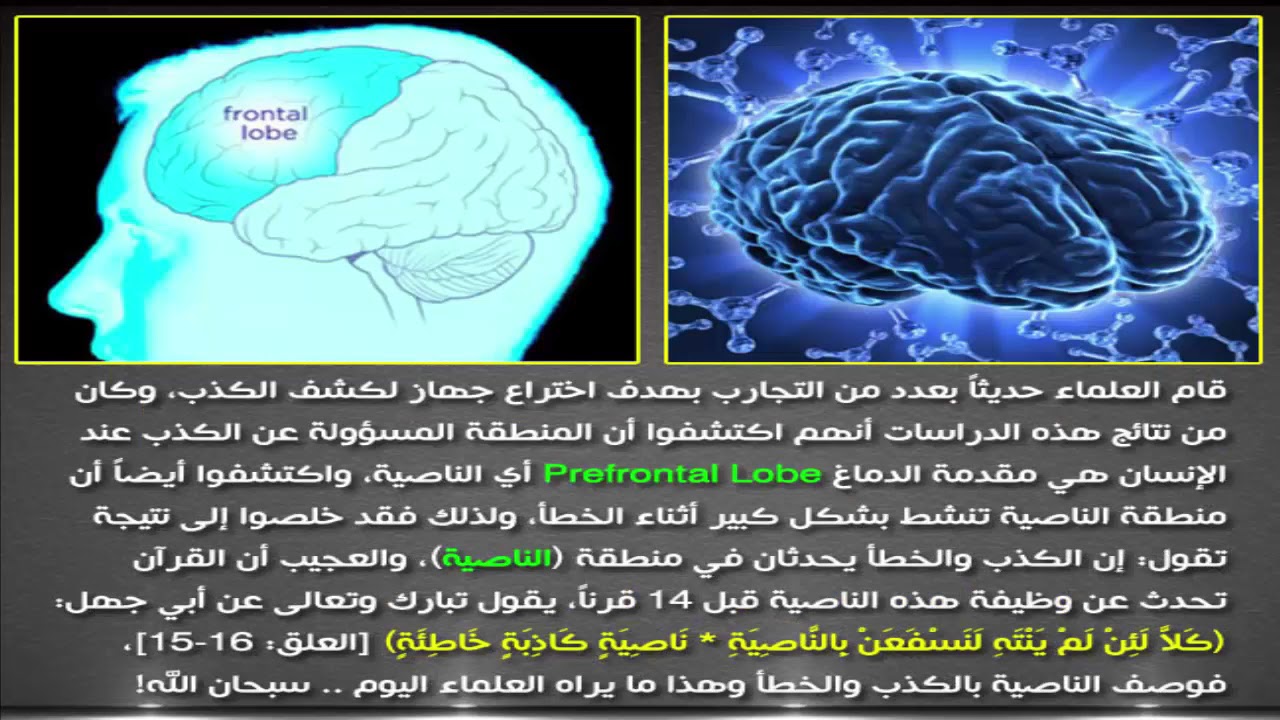 معلومات علمية , معلومات لن تصدق انها حقيقه