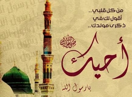 مولد النبي واحتفالاته - صور للمولد النبوي 353 3