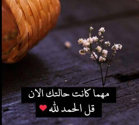 صور منوعات 6569