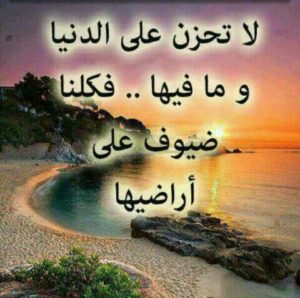 شعر عن الدنيا 2465