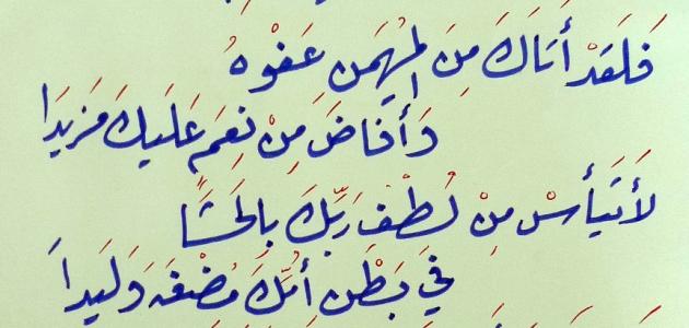 عبارات ايمانية جميلة - اجمل العبارات التي تزيد من ايمانك بالله 10845 5