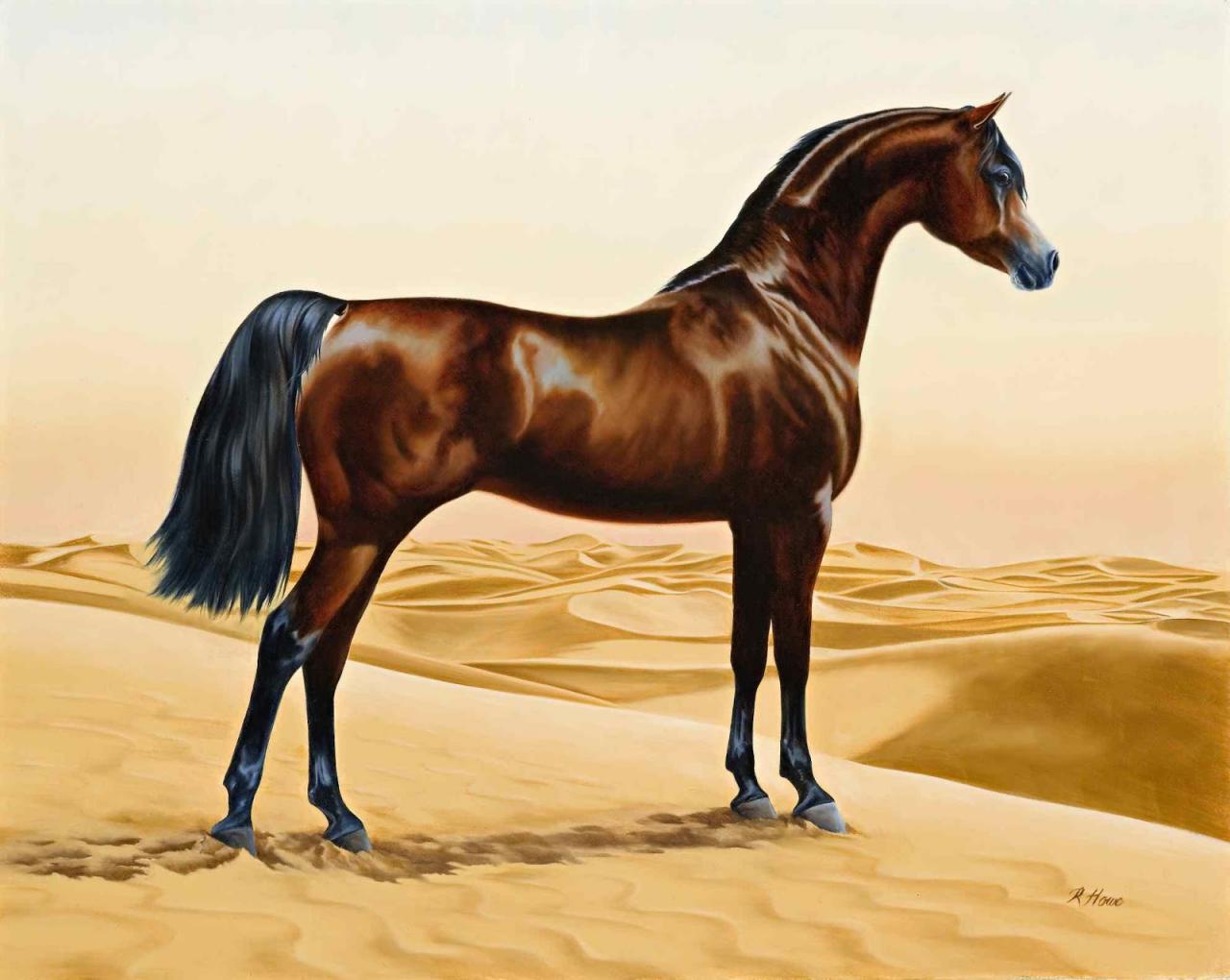 الخيل العربي الاصيل 2223 3