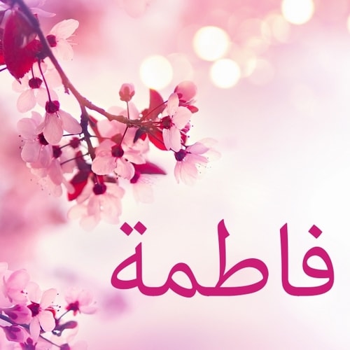 صور عن اسم فاطمه - معنى اسم فاطمه 6448 2