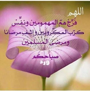 صورصباح الخير 2451