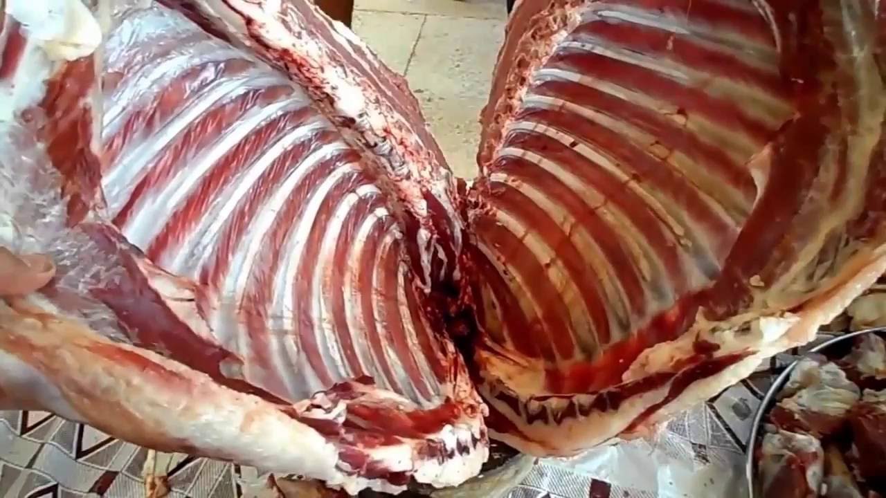 كيفية تقطيع الخروف افضل طريقة للحصول على لحم الخروف مقطعا كارز