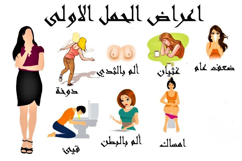 اعراض الحمل الاولية