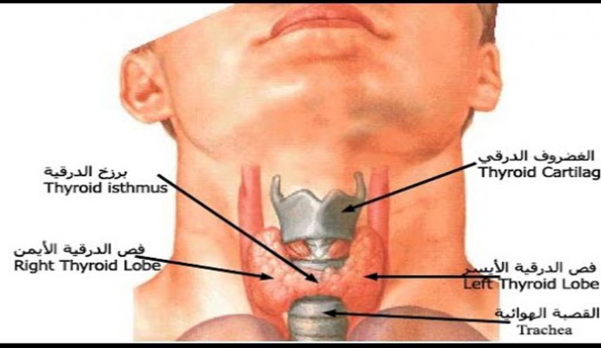 اعراض الغدة الدرقية